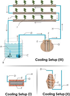 Comparative efficacy of non-electric cooling techniques to reduce nutrient solution temperature for the sustainable cultivation of summer vegetables in open-air hydroponics